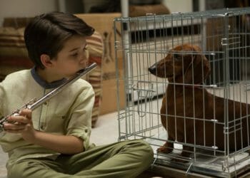 Szenebild Wiener Dog