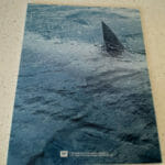 Das erstaunliche Leben des Walter Mitty Lenticular Full Slip PET Edition Booklet Rueckseite