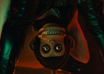 the monkey szenebild