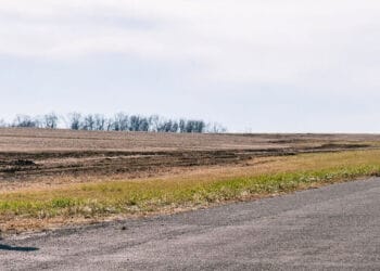 The Bikeriders szenebild